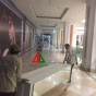 Dịch vụ vận chuyển nhà, cho thuê xe tải