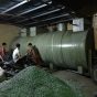Thuê xe nâng hàng hóa tại Đống Đa